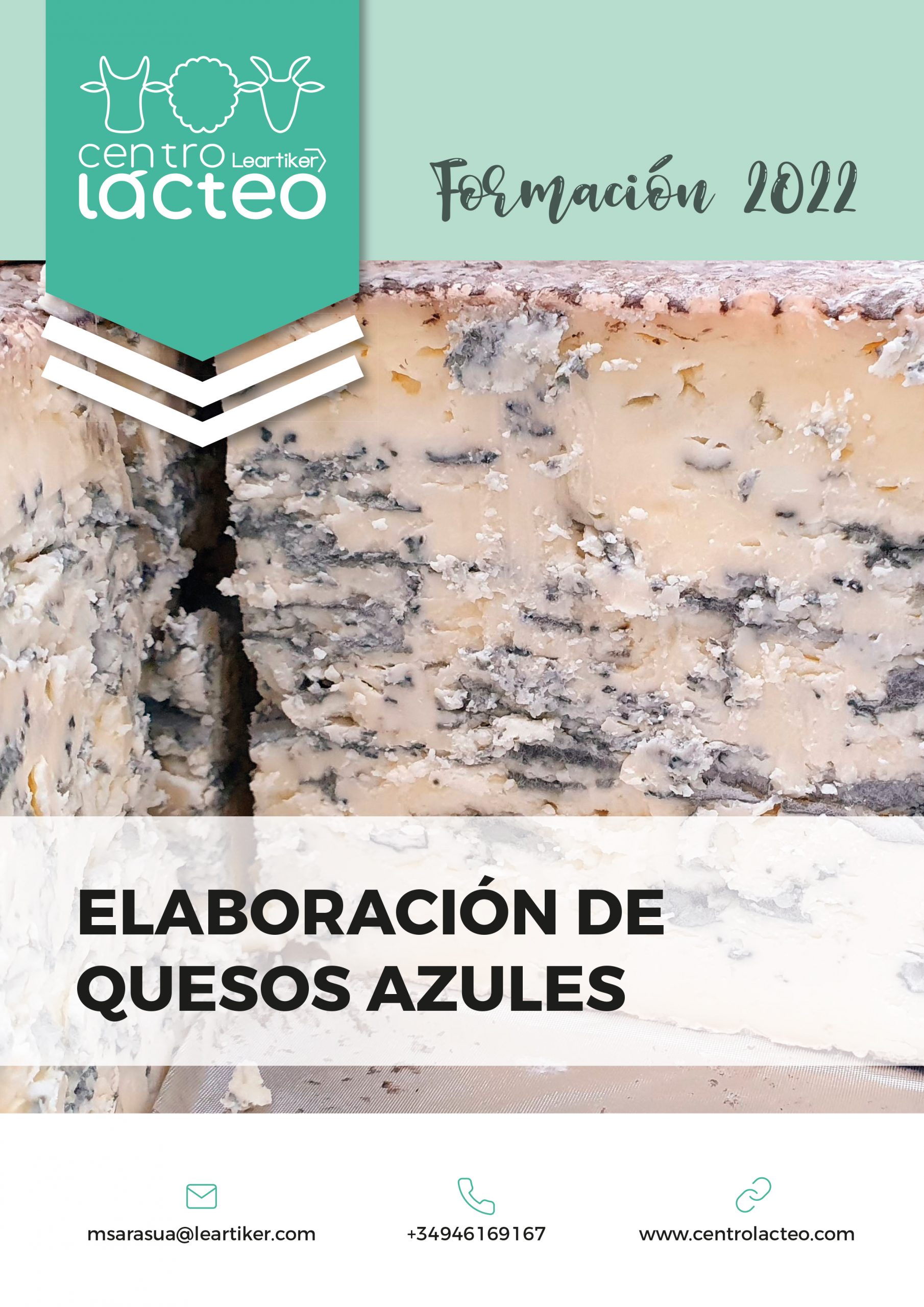 Elaboracion_quesos azules2022_ES.indd Mons Formation