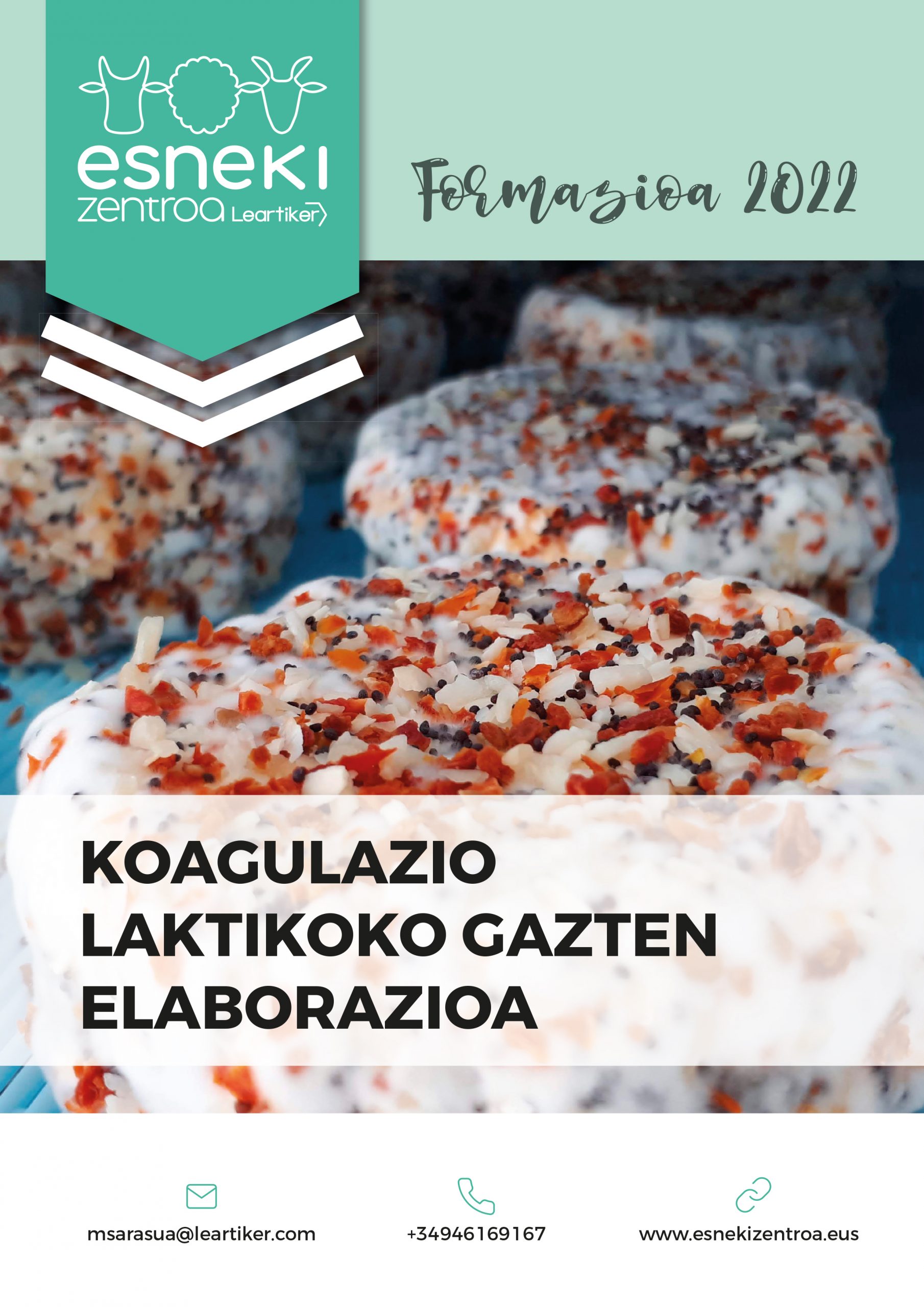 Elaboracion_quesos lacticos2022_EUS.indd
