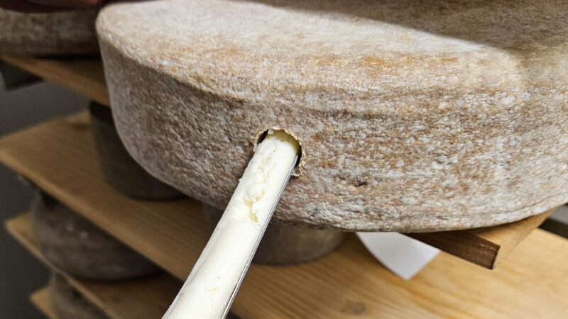 analisi_sentsoriala_goiburua